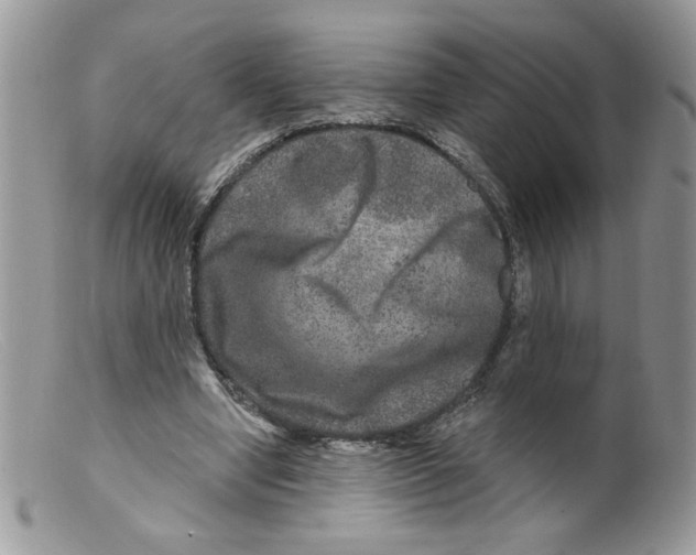 X0000098150442200805151208