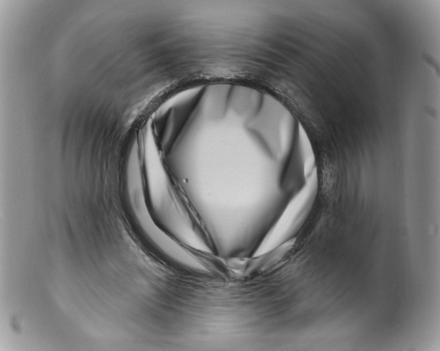 X0000098150444200805151208