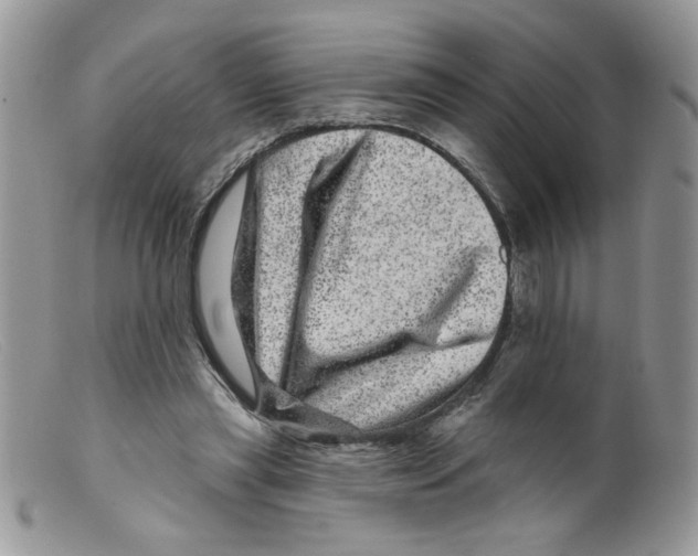 X0000098150445200805151208