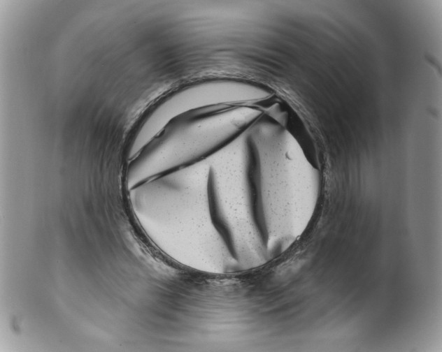 X0000098150446200805151208