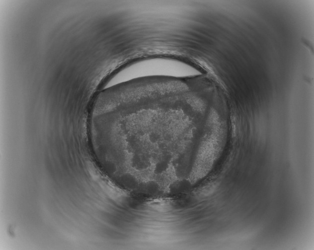 X0000098150447200805151208