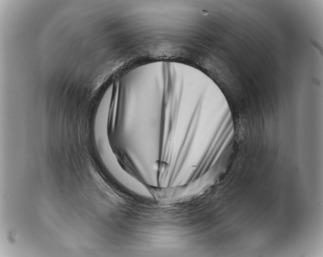 X0000098150448200805151209