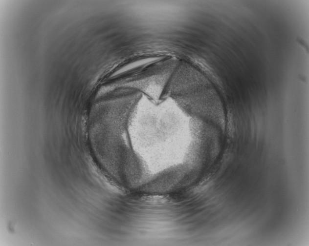 X0000098150449200805151209