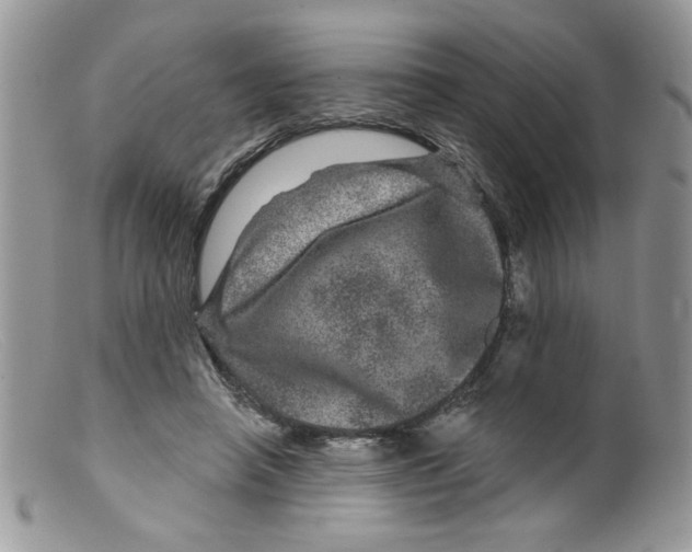X0000098150450200805151209