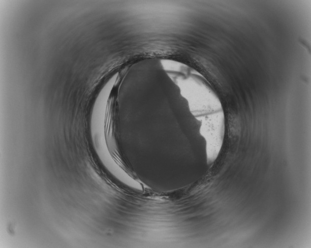 X0000098150451200805151209