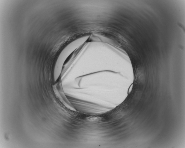X0000098150452200805151209