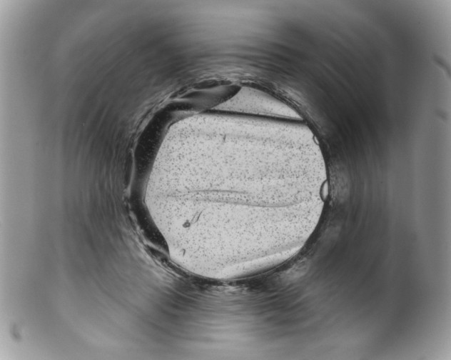 X0000098150453200805151209