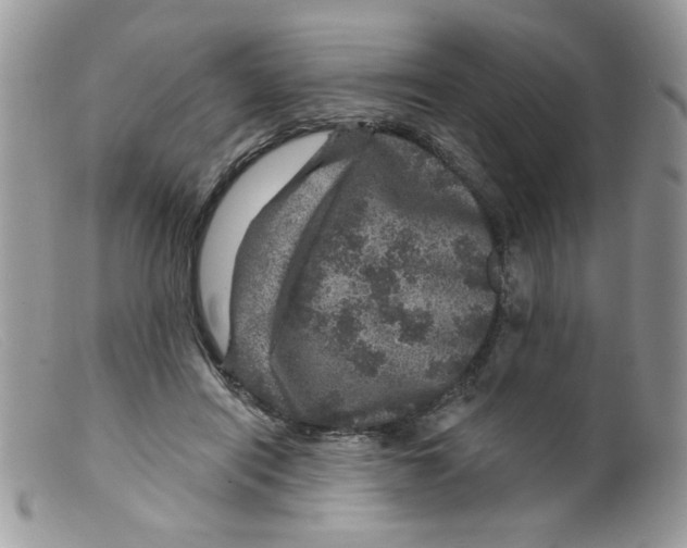 X0000098150454200805151209