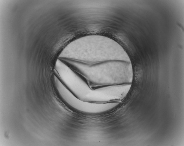 X0000098150455200805151209