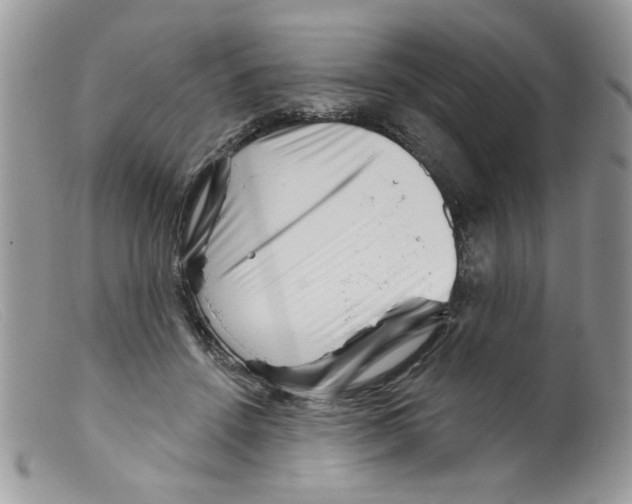 X0000098150456200805151209