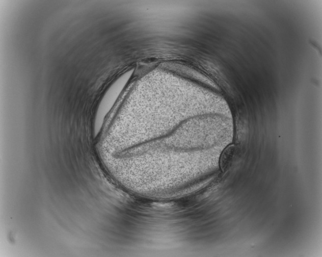 X0000098150457200805151209