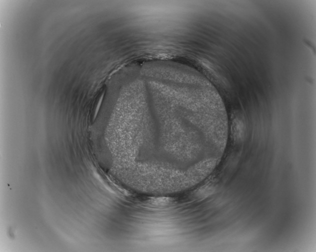 X0000098150459200805151209