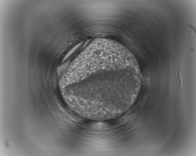 X0000098150460200805151209