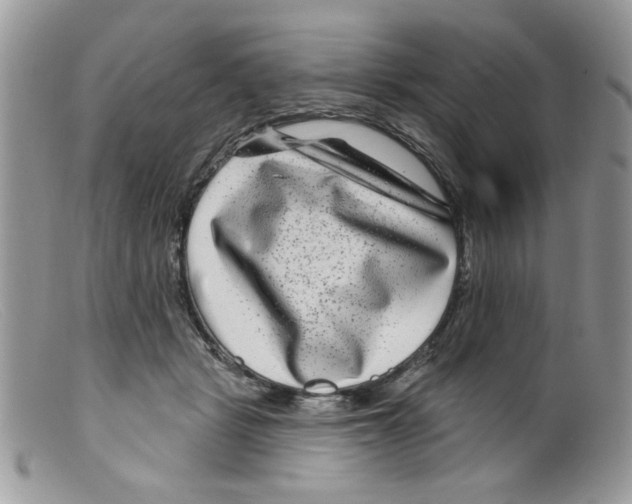 X0000098150461200805151209
