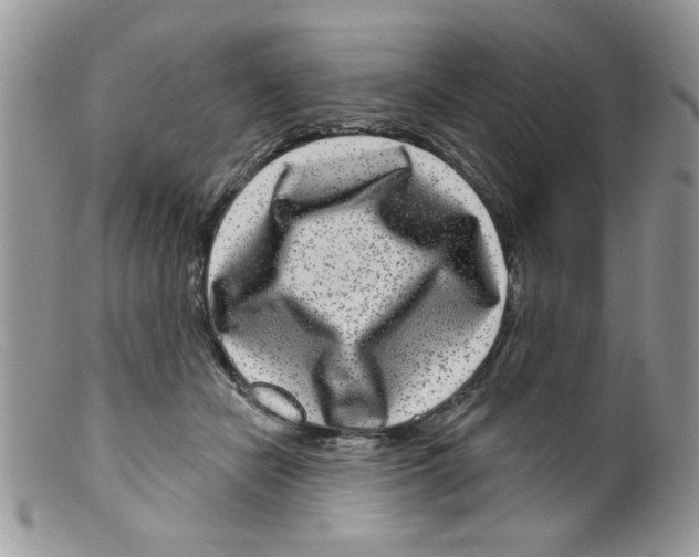 X0000098150462200805151209