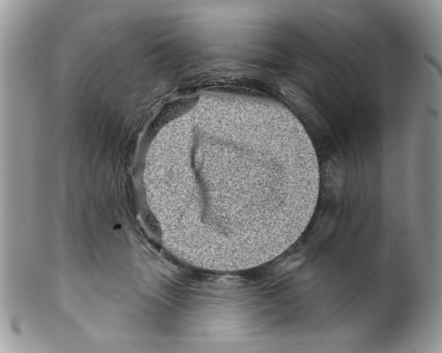 X0000098150463200805151209