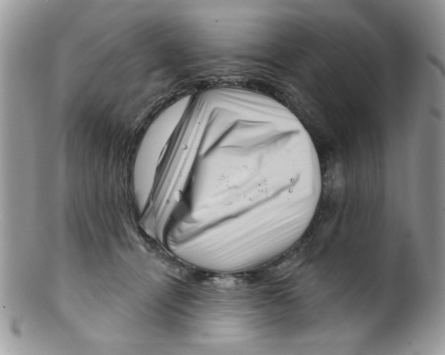 X0000098150464200805151209