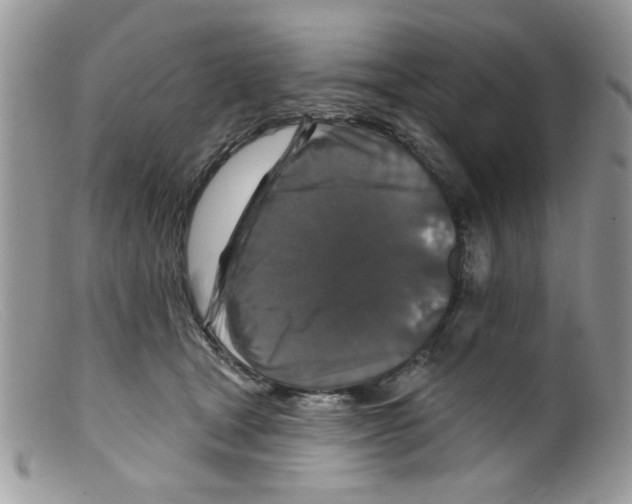 X0000098150465200805151209