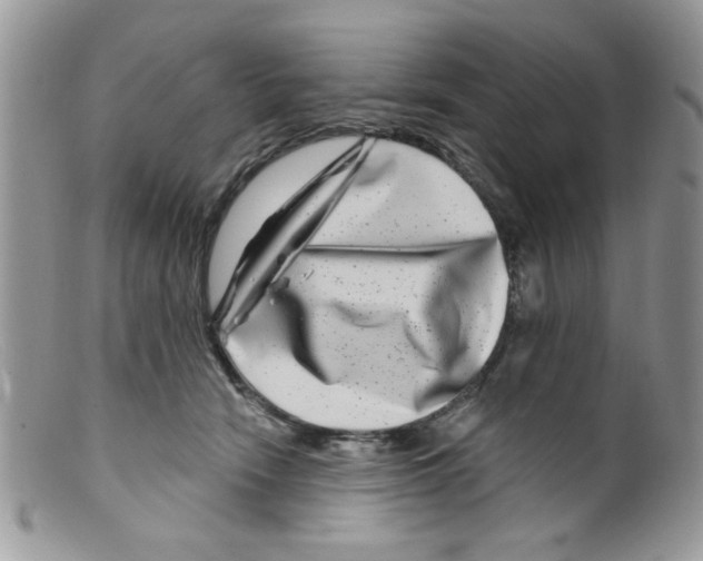 X0000098150466200805151209