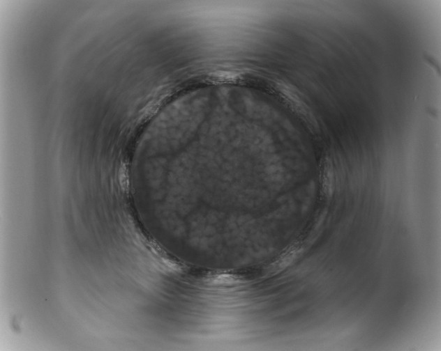 X0000098150467200805151209