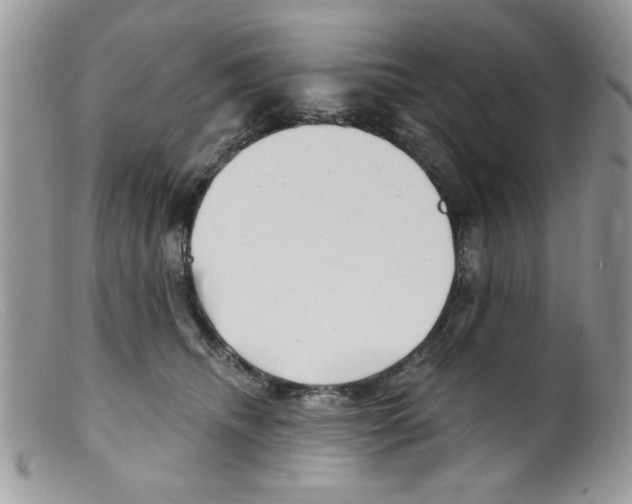 X0000098150468200805151209