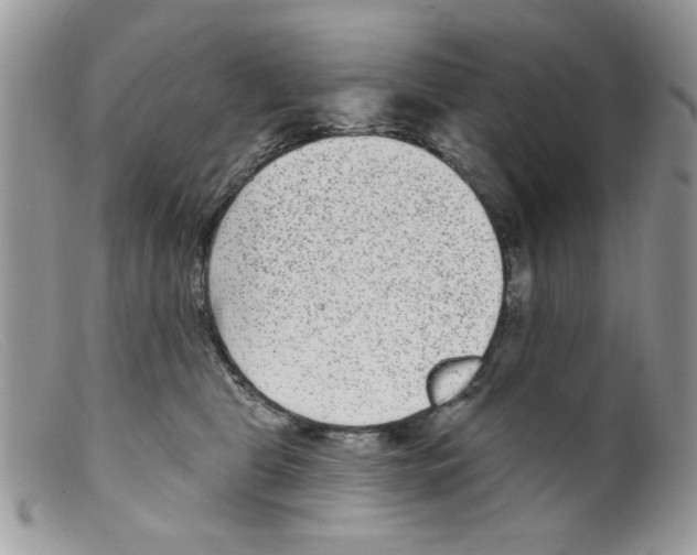 X0000098150469200805151209