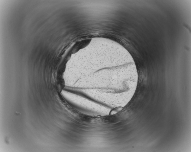 X0000098150470200805151209