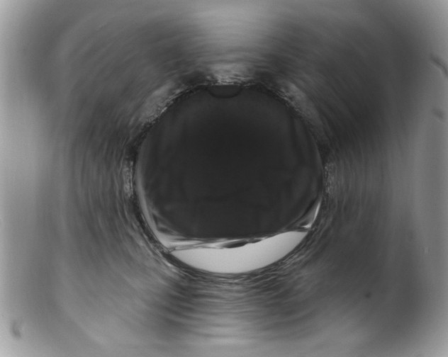 X0000098150471200805151209