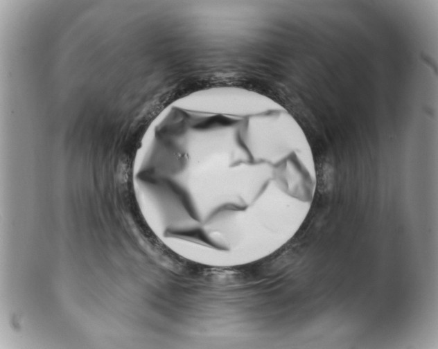 X0000098150472200805151209