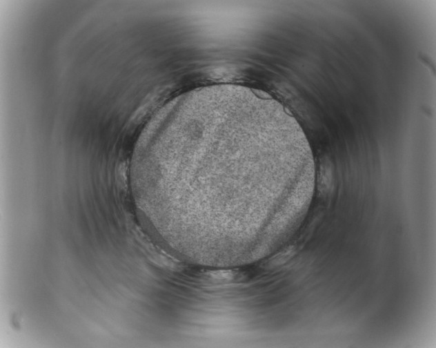 X0000098150473200805151209