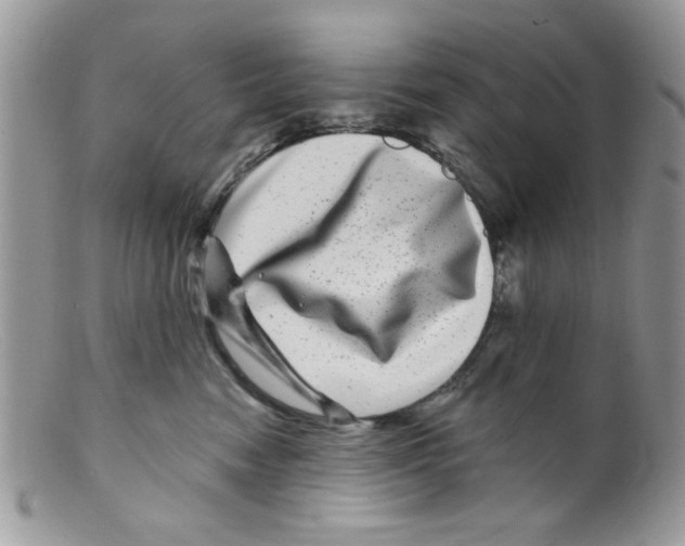 X0000098150474200805151209