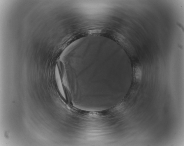 X0000098150475200805151209