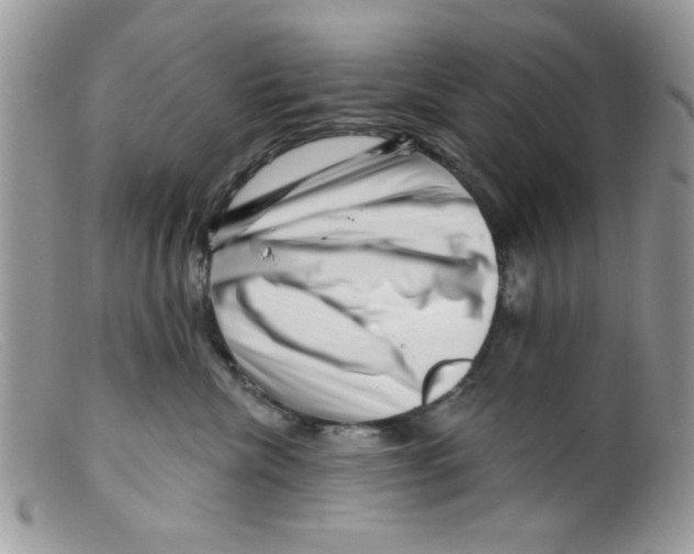 X0000098150476200805151209