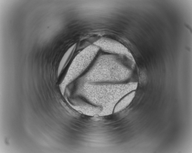X0000098150477200805151209