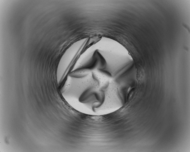 X0000098150478200805151209