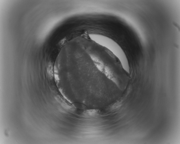 X0000098150479200805151209