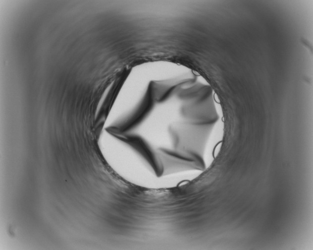 X0000098150480200805151209