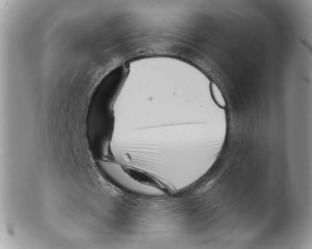 X0000098150481200805151208