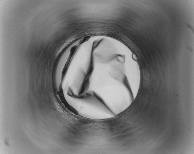 X0000098150482200805151208