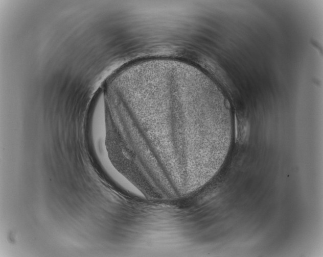 X0000098150483200805151208