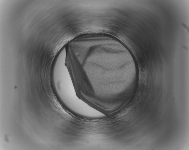 X0000098150485200805151208