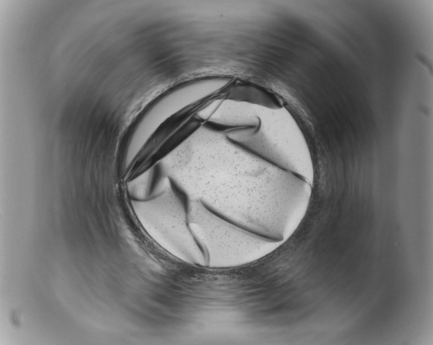X0000098150486200805151208