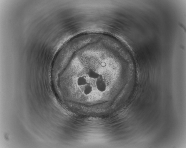 X0000098150487200805151208
