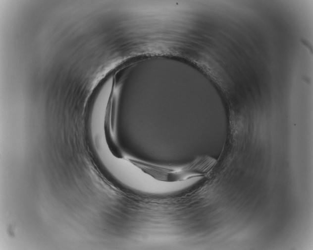 X0000098150488200805151208