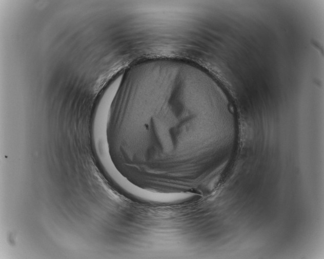 X0000098150489200805151208