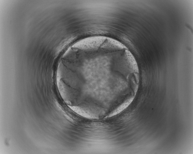 X0000098150490200805151208