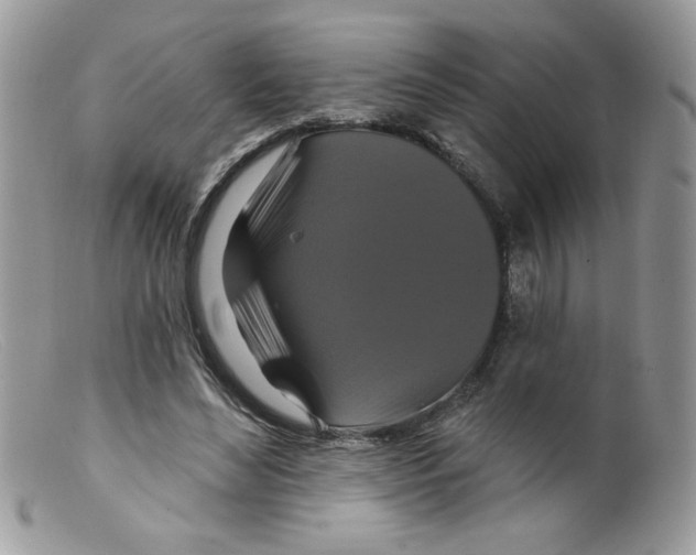 X0000098150492200805151208