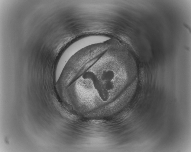 X0000098150495200805151208