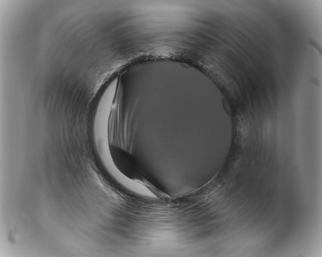 X0000098150496200805151208