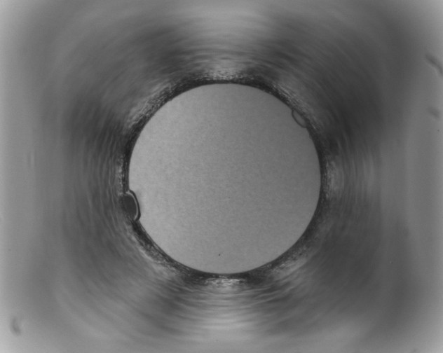 X0000098150497200805151208
